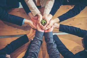 People's hands together holding dirt with a plant growing growing; your wealth advisor should create customized investment strategies to help your nonprofit grow.